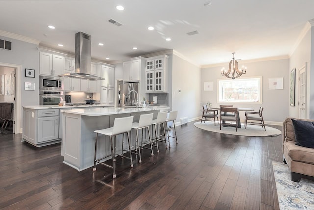 kitchen featuring stainless steel appliances, dark wood finished floors, island exhaust hood, and light countertops