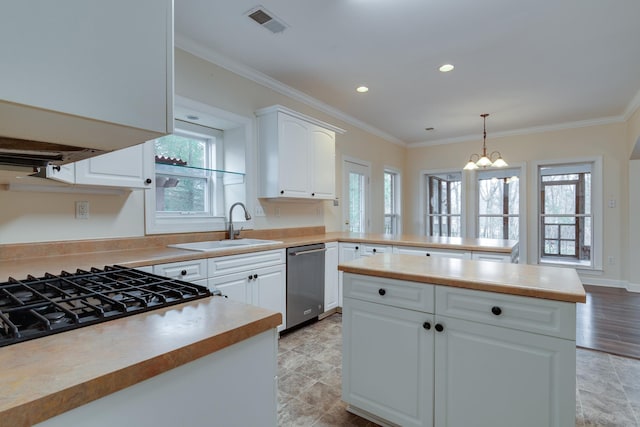 kitchen with a sink, plenty of natural light, crown molding, and dishwasher