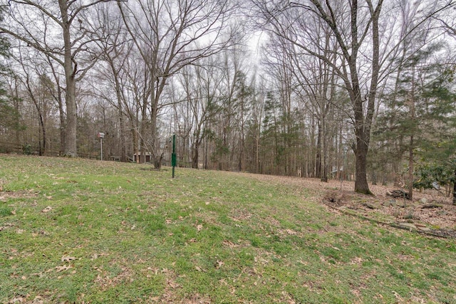 view of yard featuring a wooded view