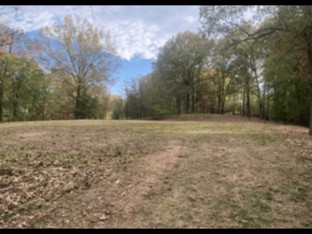 9021 E Planters View Cv, Bartlett TN, 38133 land for sale