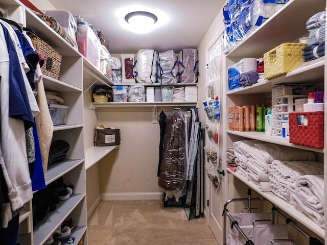 interior space with carpet flooring