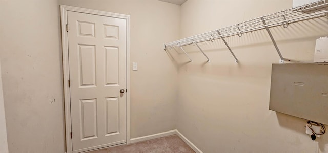 walk in closet featuring carpet floors