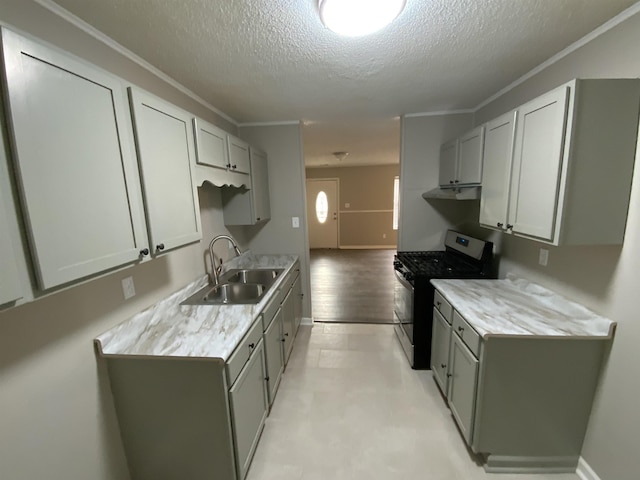 kitchen with stainless steel gas range, ventilation hood, light countertops, and a sink