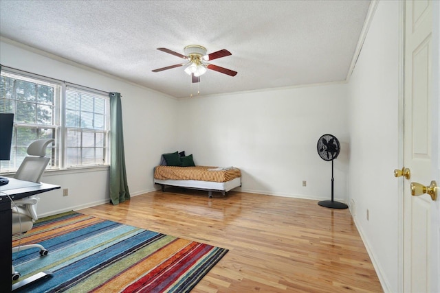 office space featuring light wood finished floors, crown molding, ceiling fan, and a textured ceiling
