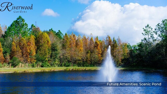 view of water feature