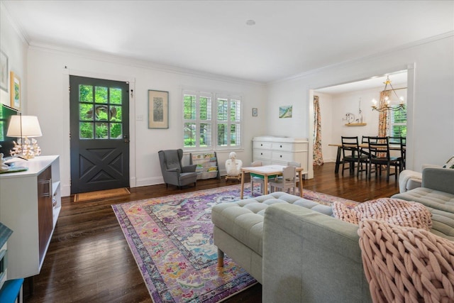 living area with an inviting chandelier, ornamental molding, dark wood-style flooring, and a wealth of natural light