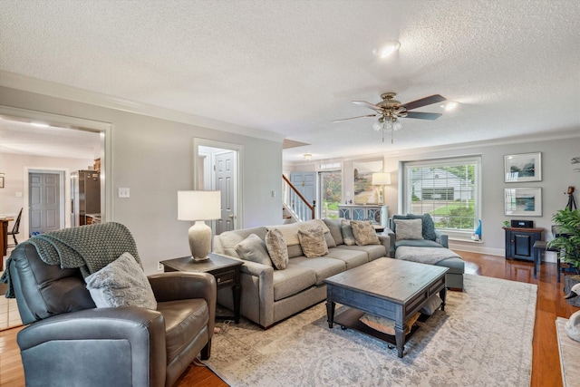 living area featuring crown molding, a textured ceiling, and wood finished floors