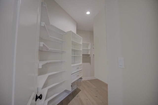 walk in closet with light wood finished floors