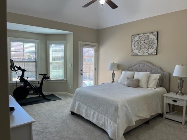 bedroom with access to outside, multiple windows, baseboards, and light colored carpet