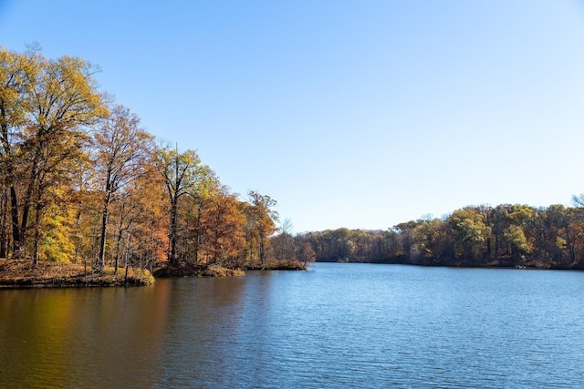 property view of water featuring a wooded view