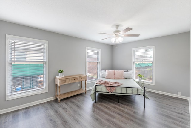 bedroom featuring multiple windows, wood finished floors, a ceiling fan, and baseboards