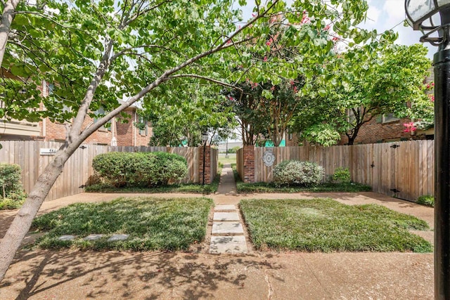 view of yard featuring a fenced front yard