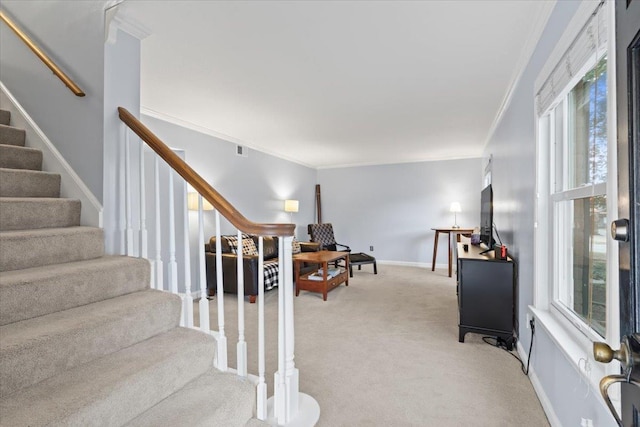 stairs featuring ornamental molding, carpet flooring, visible vents, and baseboards