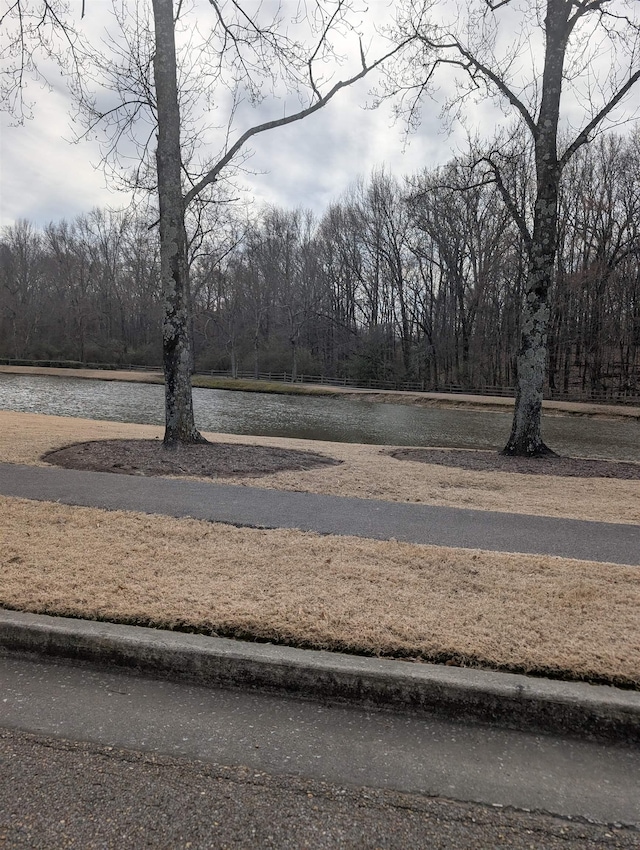 view of yard with a view of trees