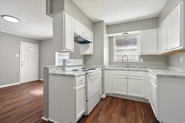 kitchen with dark wood-style floors, white range with electric stovetop, white cabinets, and a sink