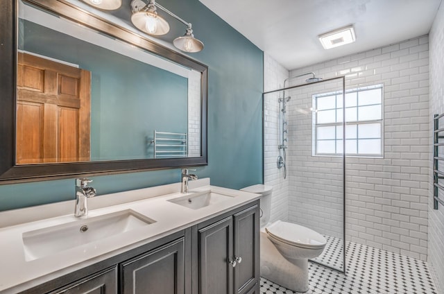 bathroom with toilet, a shower stall, double vanity, and a sink