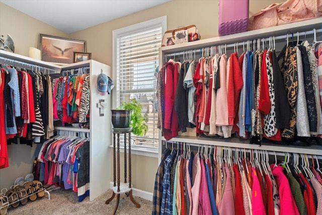 spacious closet with carpet