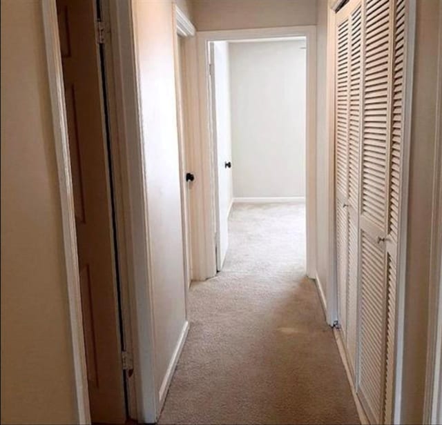 hall with baseboards and light colored carpet