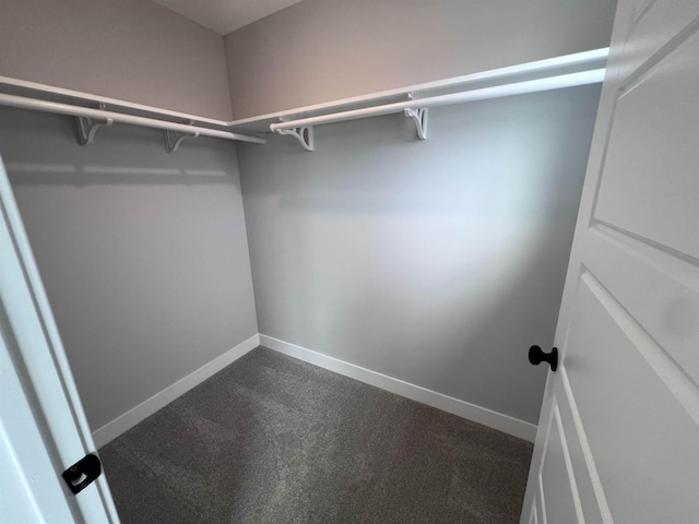 10264 Liam Ln, Collierville, TN 38017 - walk in closet featuring dark carpet