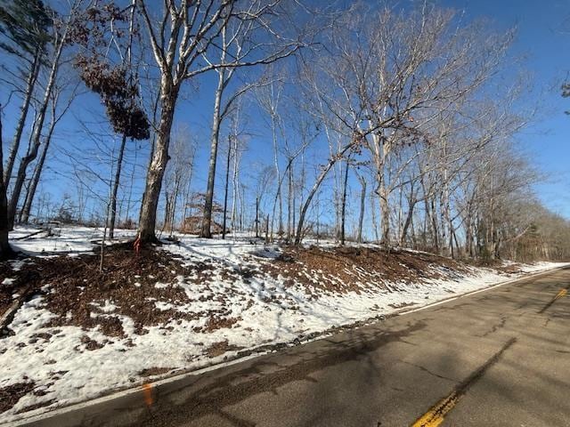 Listing photo 2 for TRACT4 State Route 225th Rd, Henderson TN 38340