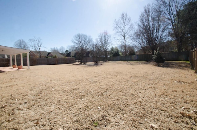 view of yard with a patio area and a fenced backyard