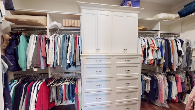 walk in closet with dark wood-type flooring