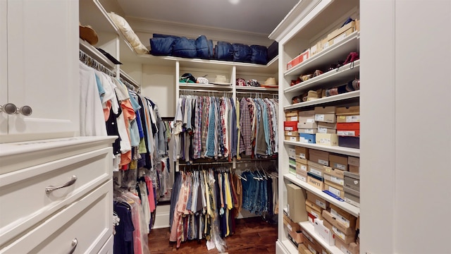 spacious closet with dark wood finished floors