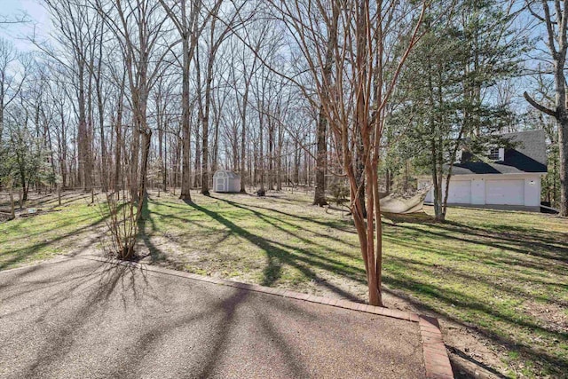 view of yard featuring a garage, a storage unit, and an outdoor structure