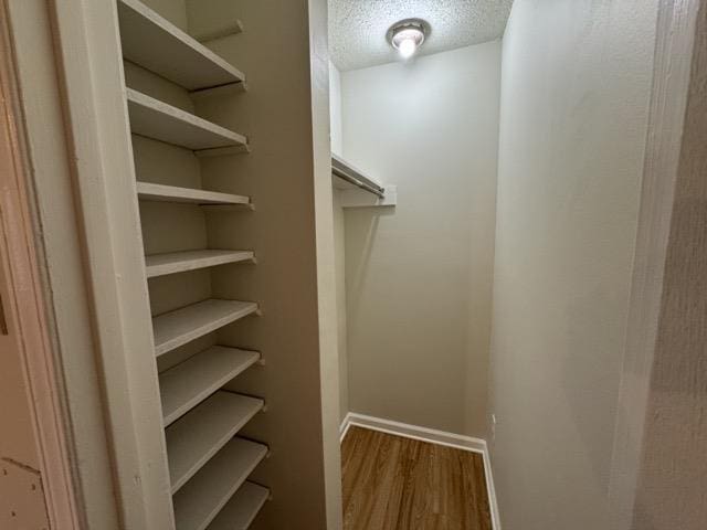 walk in closet featuring wood finished floors