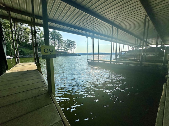 dock area with a water view