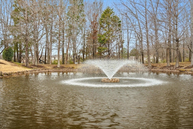 water view