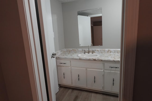 bathroom featuring wood finished floors and vanity