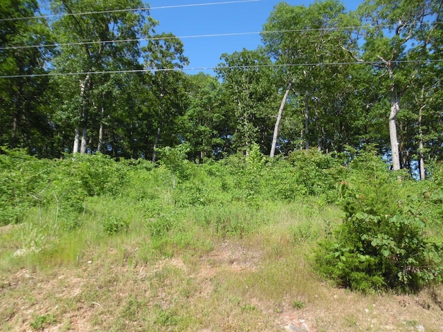 83-85 Adam Loop, Bath Springs TN, 38311 land for sale