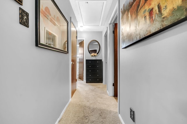 hall featuring attic access, baseboards, and carpet floors