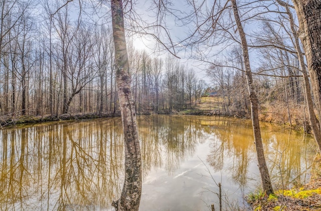 water view featuring a forest view