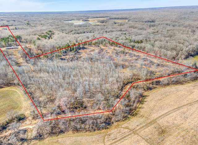 aerial view featuring a rural view and a wooded view