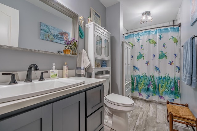 bathroom with wood finish floors, toilet, and vanity