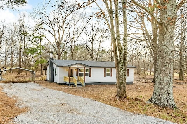 view of front facade with a shingled roof, a detached carport, driveway, and crawl space