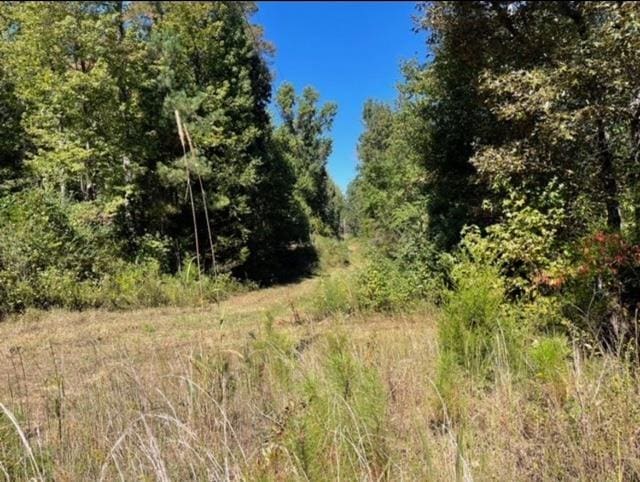 0 Foster Rd, Middleton, TN 38052