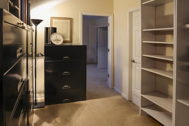 spacious closet with carpet