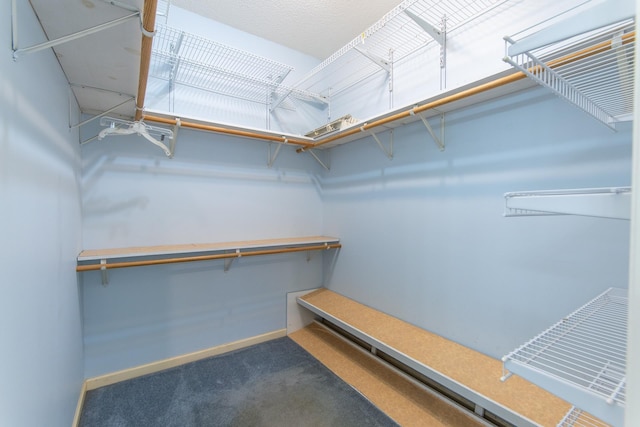 walk in closet featuring carpet flooring