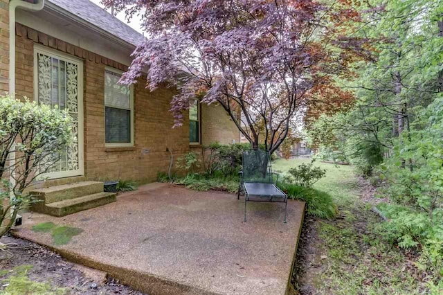 view of patio / terrace featuring entry steps