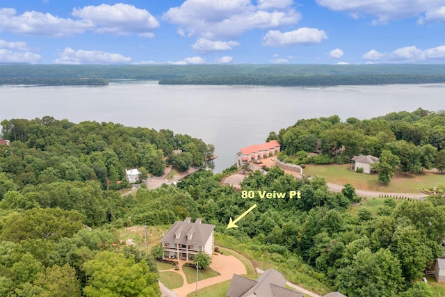 bird's eye view with a view of trees and a water view