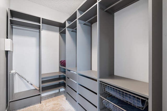 spacious closet featuring carpet floors