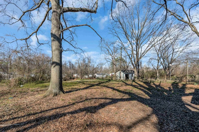 view of yard featuring an outbuilding and a storage shed