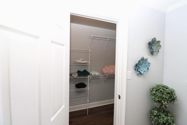 view of closet