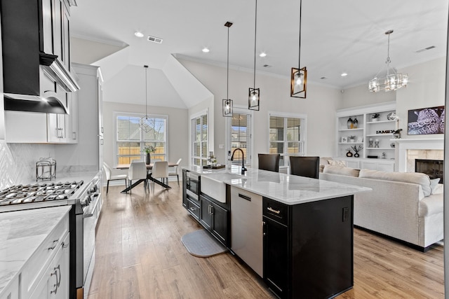 kitchen featuring light wood-type flooring, a premium fireplace, dark cabinetry, stainless steel appliances, and a sink