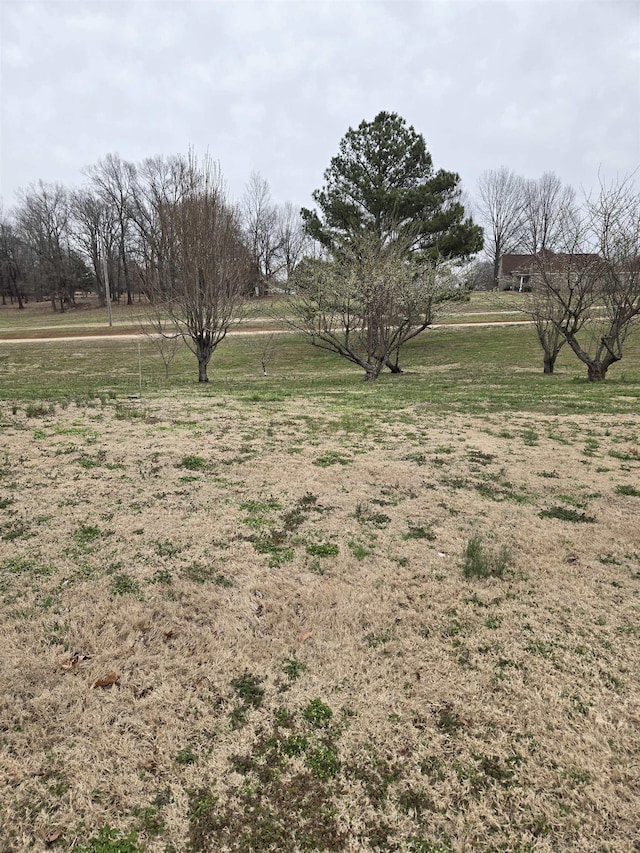 view of yard with a rural view