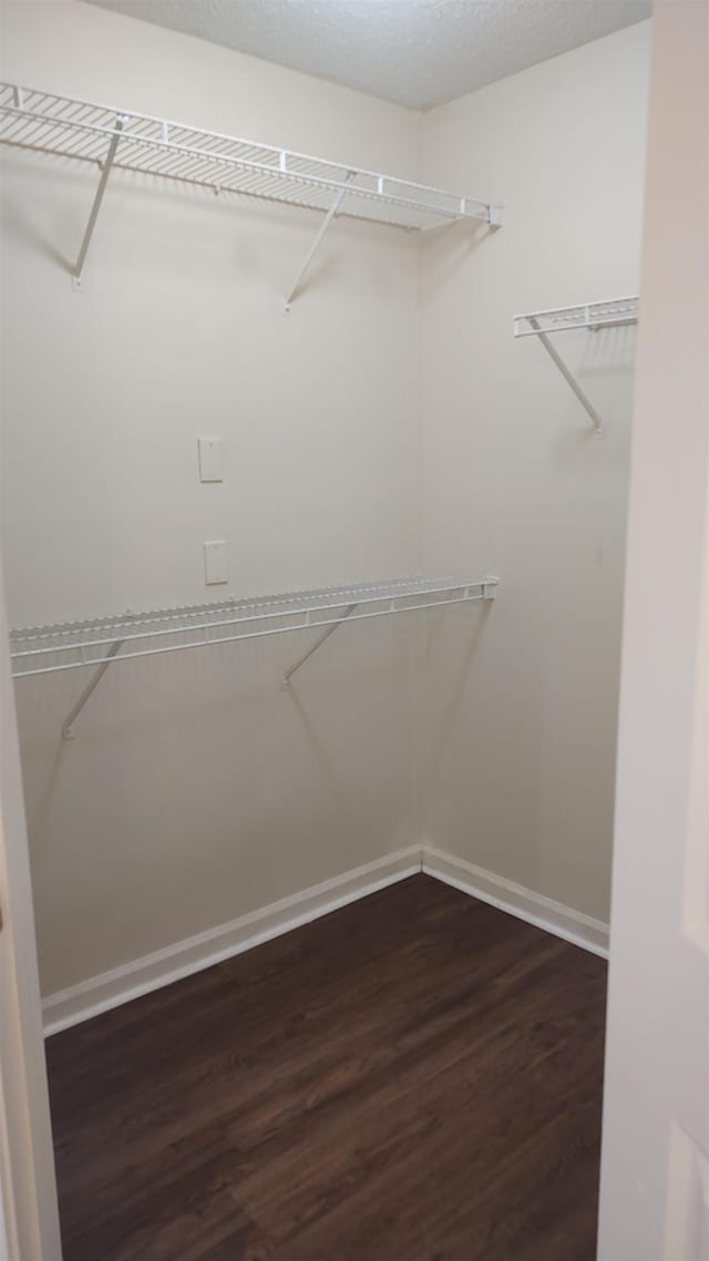 walk in closet featuring dark wood finished floors