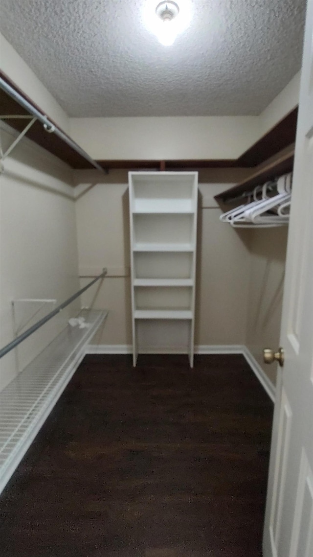 walk in closet featuring dark wood-style flooring